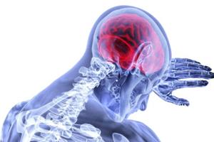  توسعه مدل مافوق ارتجاعی برای درک صدمات مغزی