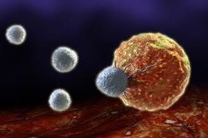 اثرات ژن عامل "طاسی سکه‌ای" در نابودی سلول‌های سرطانی 