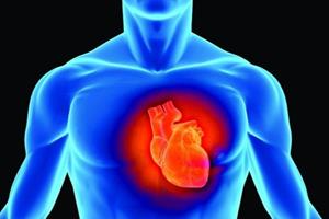 اثرات استرس محیطی بر بافت معمول و غیرمعمول قلب 