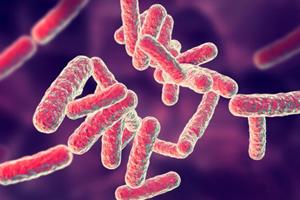  توسعه روشی نوین برای از بین بردن باکتری عامل عفونت بیمارستانی