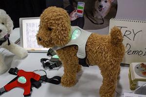  تشخیص احساس سگ‌ها با یک فناوری پوشیدنی