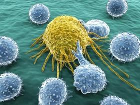 جلوگیری از عوارض جانبی سرطان با کشف جدید سلولهای بنیادی