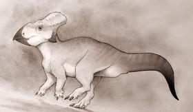کشف فسیل دایناسور شاخدار در آمریکای شمالی 