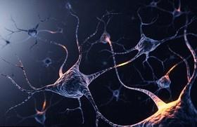وجود بیش از 1000 جهش ژنتیکی در هر نورون 