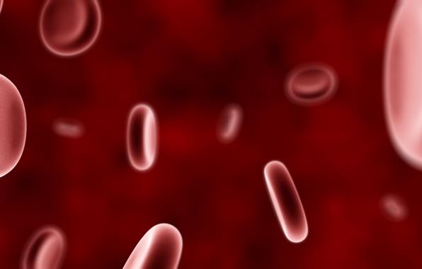ذرات میکرونی راه حلی جدید برای جلوگیری از خونریزی 
