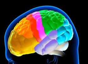 بخشهای مختلف مغز با سرعت‌های متفاوت پیر می‌شوند