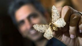 کشفی نادر در جهان حشره‌شناسی به رهبری دانشمند رانده شده از دانشگاه تهران! 