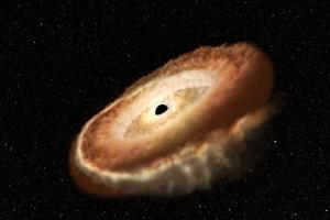 کشف سیاهچاله‌ گرسنه‌ای که در حال تبدیل کردن یک ستاره به «دونات» است