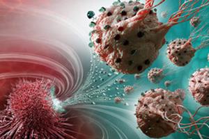 باکتری‌های انفجاری سلول‌های سرطانی را نابود می‌کنند!