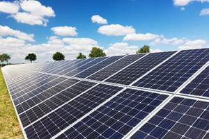 باکتری، جایگزین سلول‌های خورشیدی خواهد شد!