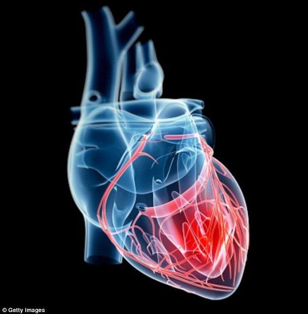 تولید سلول‌های قوی برای مبارزه با نارسایی قلبی