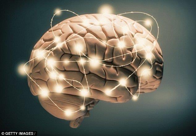  مغز انسان مجهز به سیستم تخلیه مواد زاید است