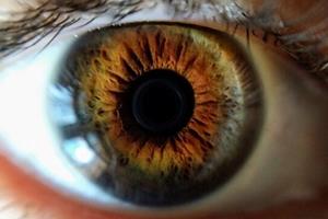 پیش‌بینی شایع‌ترین علت نابینایی افراد با بررسی شبکیه