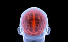 آیا آسیب‌های مغزی موجب آلزایمر می‌شود؟