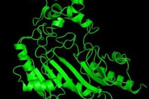 نانوحسگری که به سادگی می‌تواند پروتئین‌ها را تشخیص دهد 
