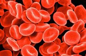 هموگلوبین خون می‌تواند نانوحامل‌های دارویی را به هم بچسباند 
