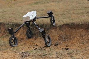 رباتی که از چوپانان هم بهتر گاوچرانی می‌کند