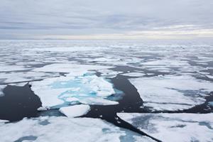 کشف دنیای مخفی بستر اقیانوس‌های قطبی
