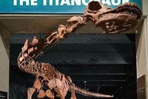 کشف بزرگترین دایناسوری که پا به زمین گذاشته است