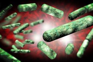  روند تکامل باکتری‌ها در پژوهشی 30 ساله