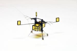زنبور رباتیک حیرت‌انگیز دانشگاه‌ هاروارد