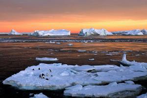  آب شدن یخچال‌ها در قطب جنوب جزیره کشف نشده‌ای را آشکار کرد