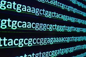  مخمری که قانون جهانی DNA را نقض کرد