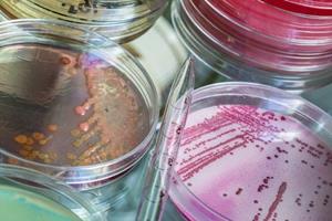 توسعه آنتی‌بیوتیک مقاوم در برابر مقاومت آنتی‌بیوتیکی