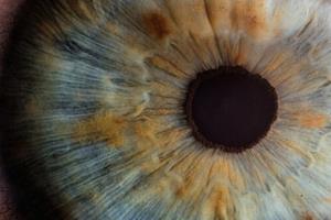  ۴ نوآوری پزشکی که شاید نابینایی را درمان کنند