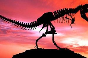  سردرگمی دانشمندان در مورد علل انقراض دایناسورها