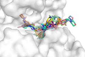 روش جدید برای یافتن سریع پروتئین‌ها
