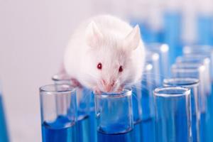  آزمایش روی حیوانات تا سال ۲۰۳۵ برچیده می‌شود