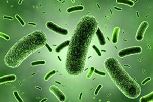 مقابله با باکتری‌های مقاوم در برابر دارو به کمک یک پلتفرم جدید