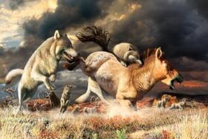  تغییر عادات غذایی، گرگ‌ها را از انقراض نجات داد