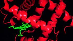 تولید خون مصنوعی با پروتئین وال‌ها 