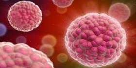 تشخیص و انهدام سلول‌های سرطانی با حسگر پروتئینی 