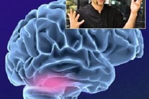 حل معمای چگونگی تشخیص چهره توسط مغز به رهبری دانشمند ایرانی 