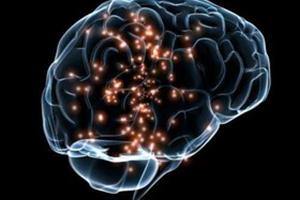 مشاهده منطقه خودخواهی در مغز 