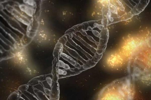 تحلیل همزمان ژن‌ها با فناوری بارکدگذاری
