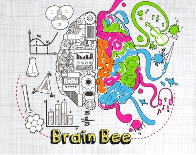 جزئیات دهمین دوره مسابقه ملی دانش‌آموزی «دانش مغز» اعلام شد