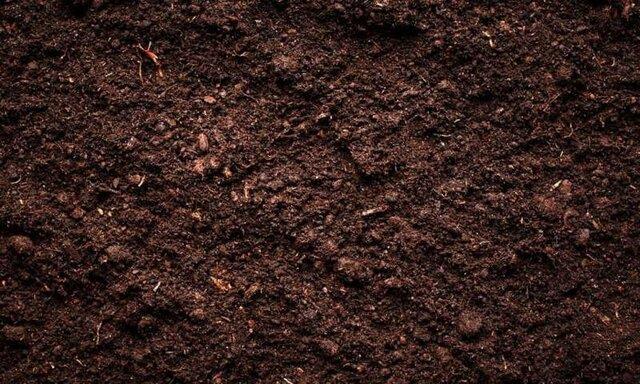  تنوع میکروبی خاک بر توانایی ذخیره کربن آن تاثیر می‌گذارد