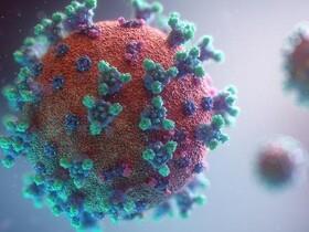 ابتکار استاد "دانشگاه لنکستر" برای شناسایی سریع ویروس‌ها