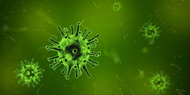  نگرانی محققان درباره یک ویروس خوکی جدید
