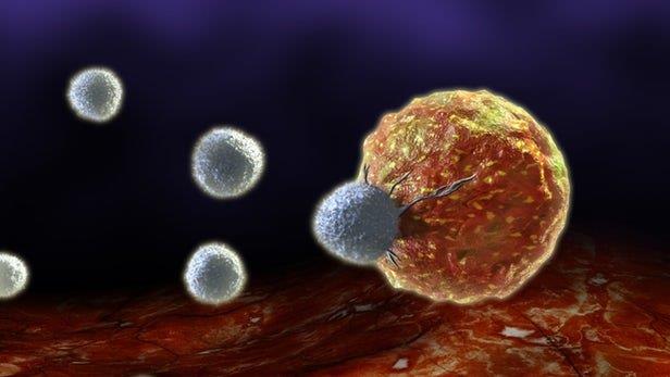 اثرات ژن عامل "طاسی سکه‌ای" در نابودی سلول‌های سرطانی 