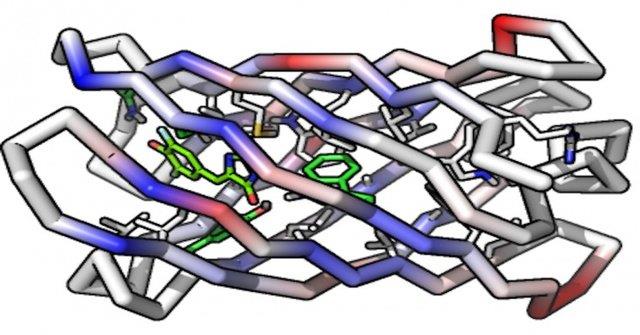  ابداع اولین پروتئین قابل اتصال به مولکول