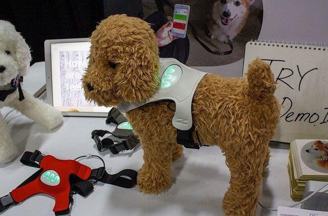  تشخیص احساس سگ‌ها با یک فناوری پوشیدنی