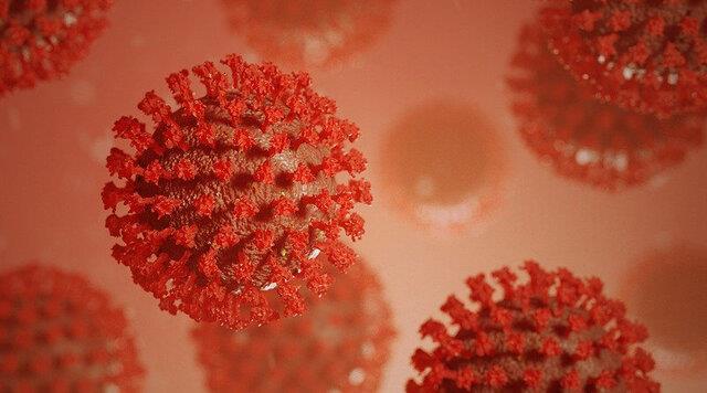  تشخیص مصونیت ابتلای مجدد به کروناویروس در ۱۰ دقیقه
