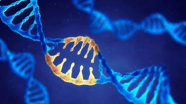 فناوری جدیدی که تنظیم فعالیت ژنتیکی را نشان می‌دهد