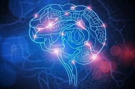  شبیه‌سازی عملکرد نورون‌ها در مغزهای الکترونیکی