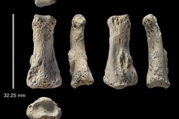 کشف یک فسیل استخوان با قدمت 88000 سال در عربستان